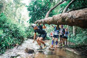 BIB: 
                            <button type="button" onclick="openModal(25374862)" class="btn btn-primary btn-sm float-right btn-popup" data-toggle="modal" data-target=".modal-high-quality">
                        <i class="fas fa-shopping-cart"></i> Add to Cart
                    </button>
                                            <button type="button" onclick="isThisMe(25374862, true)" class="btn btn-success btn-sm float-right btn-popup btn-isme hidden" data-toggle="tooltip" data-placement="bottom" title="นี่คือรูปของคุณใช่ไหม คลิกที่นี่เพื่อเอาเข้าอัลบั้ม">
                        <i class="fas fa-plus"></i> Add to album
                    </button>
                    <button type="button" onclick="isThisMe(25374862, false)" class="btn btn-warning btn-sm float-right btn-popup btn-isnotme hidden">
                        <i class="fas fa-ban"></i> Remove from album
                    </button>